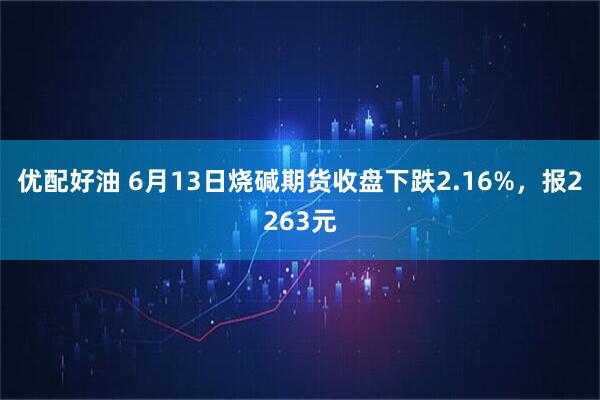 优配好油 6月13日烧碱期货收盘下跌2.16%，报2263元