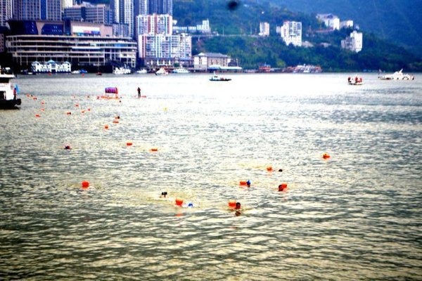库东投资 巴东：500多名游泳爱好者“横渡大三峡 畅游神农溪”
