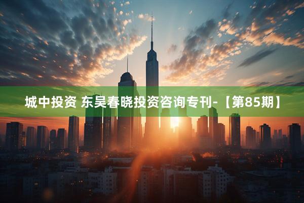 城中投资 东吴春晓投资咨询专刊-【第85期】